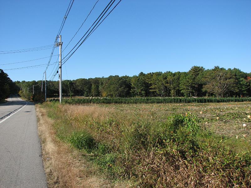 2008-10-11_Tiverton_Trustom 008.jpg
